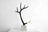 Sculpture jewelry display stand home decor antler table top hot sale